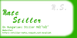 mate stiller business card